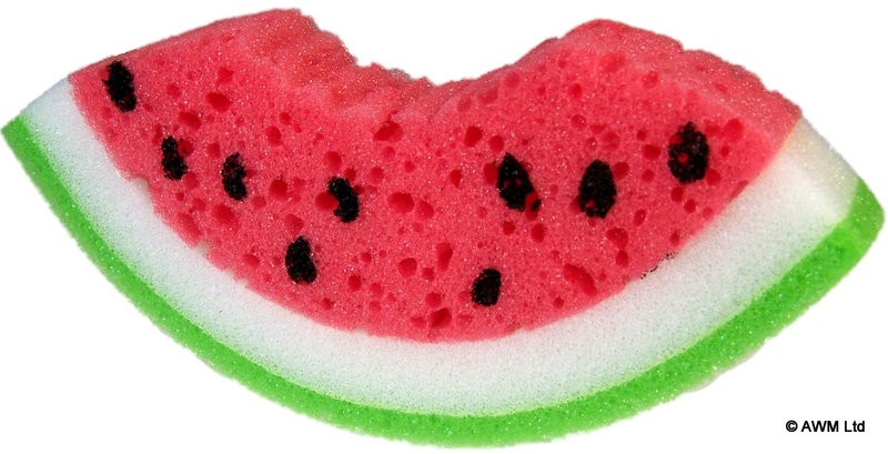 041 Melonenschwamm